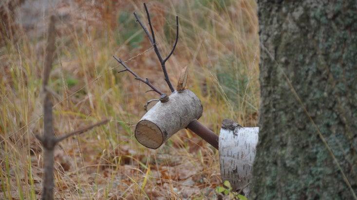 A wooden reindeer as part of the reindeer trail at Dunwich Heath, peeking out from behind a tree.